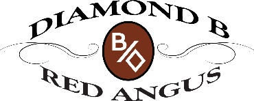 Diamond B Red Angus